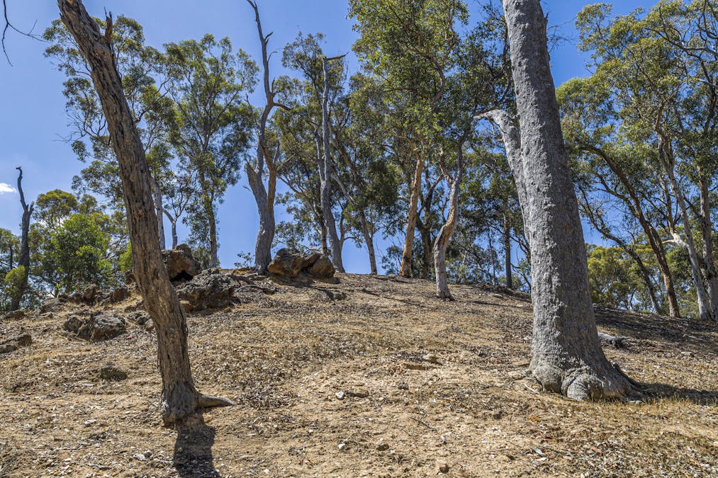 132 Wisteria Way, Chittering, WA, 6084 - Image 24