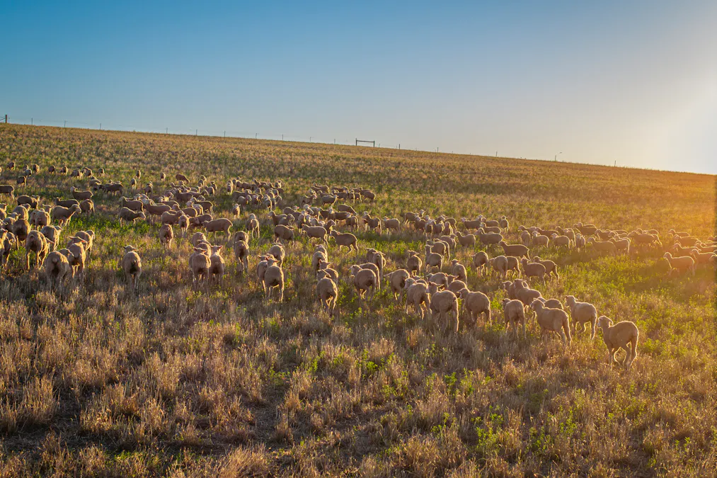 1154 Stockyard Hill Road, Stockyard Hill, VIC, 3373 - Image 28