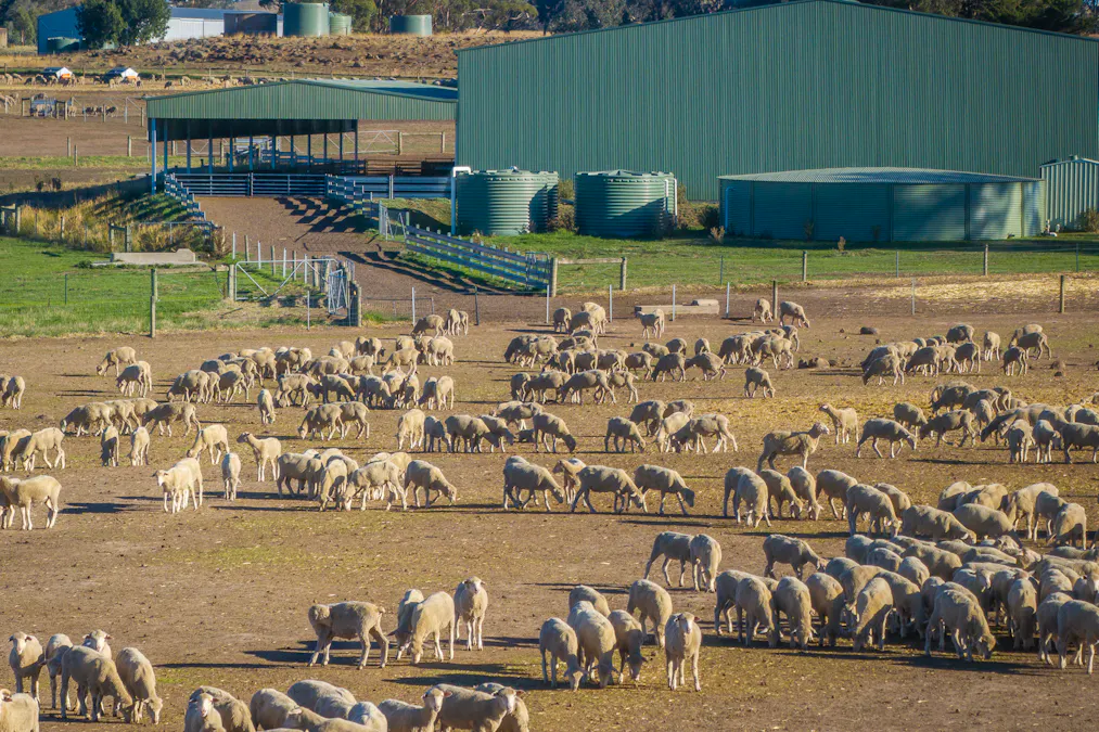 1154 Stockyard Hill Road, Stockyard Hill, VIC, 3373 - Image 12