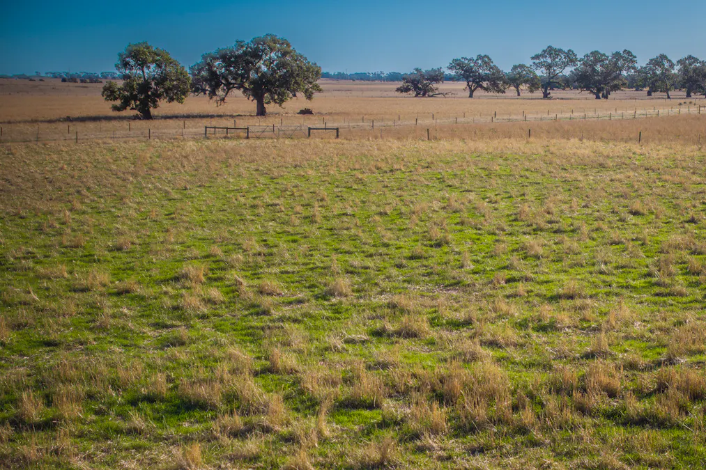 1154 Stockyard Hill Road, Stockyard Hill, VIC, 3373 - Image 29