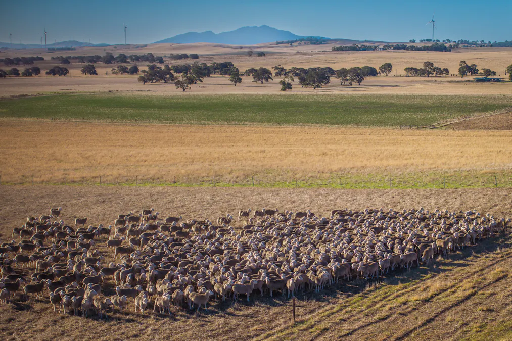 1154 Stockyard Hill Road, Stockyard Hill, VIC, 3373 - Image 30