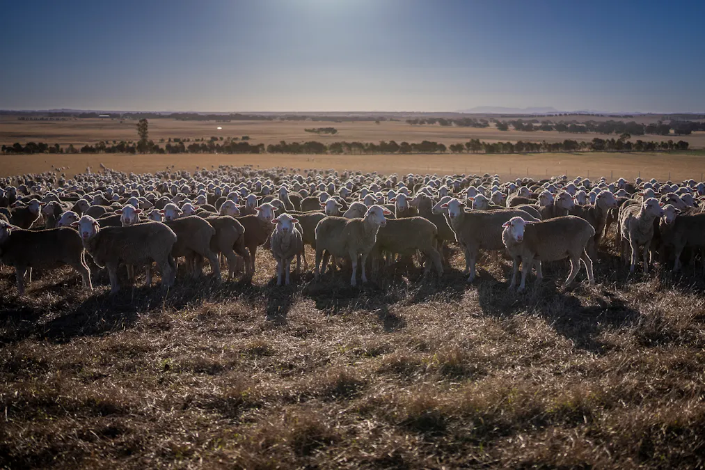 1154 Stockyard Hill Road, Stockyard Hill, VIC, 3373 - Image 33