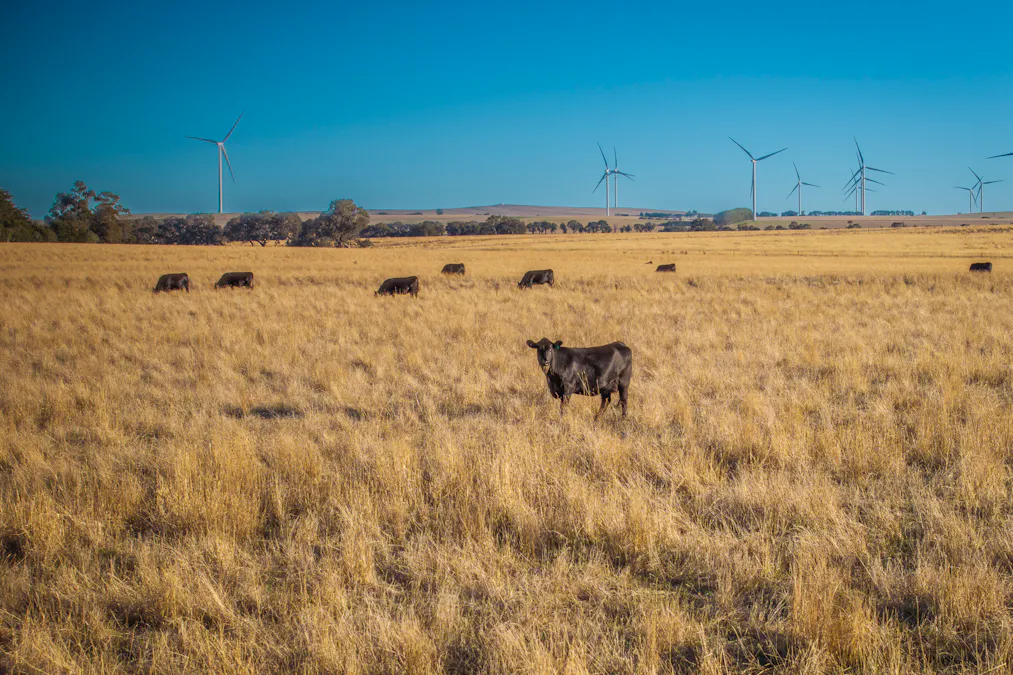 1154 Stockyard Hill Road, Stockyard Hill, VIC, 3373 - Image 26