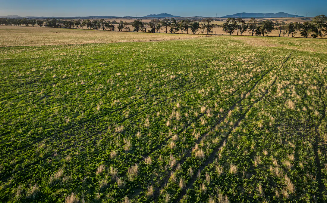 1154 Stockyard Hill Road, Stockyard Hill, VIC, 3373 - Image 5