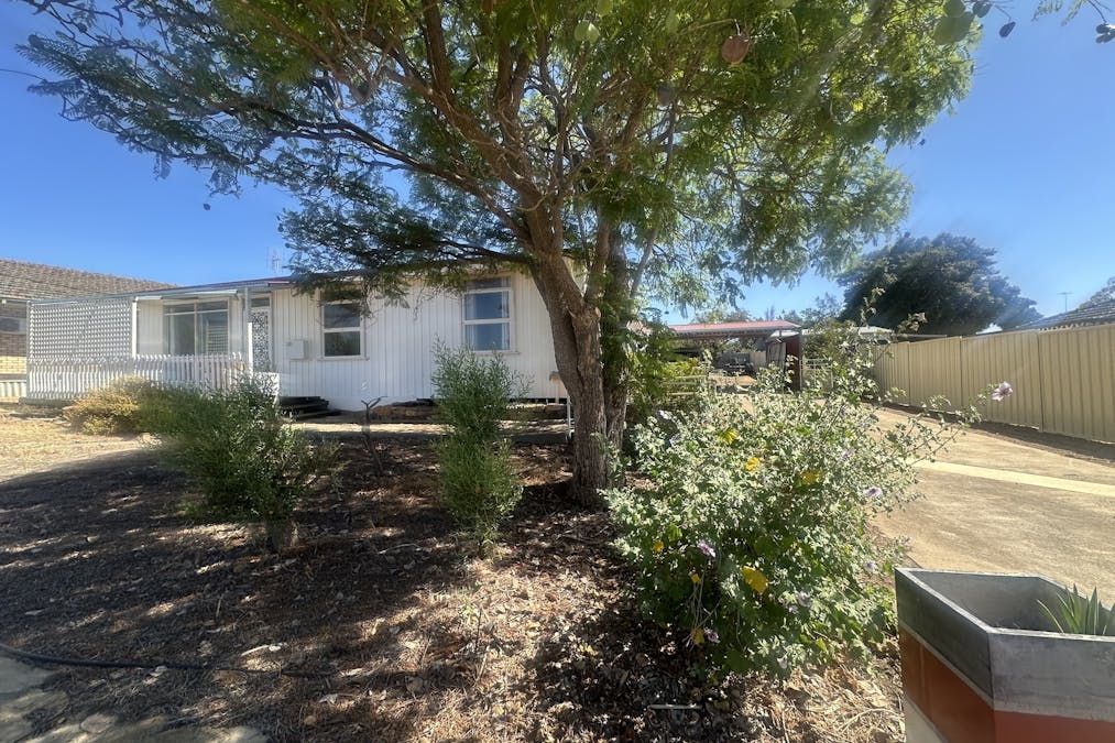 30  Mcintyre Street, Dumbleyung, WA, 6350 - Image 3