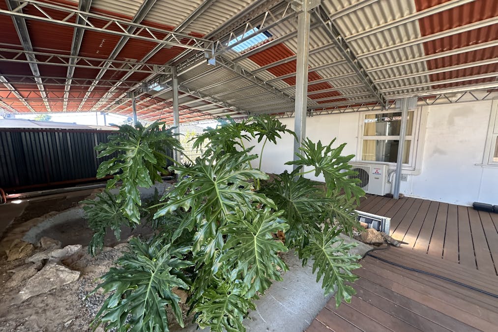 30  Mcintyre Street, Dumbleyung, WA, 6350 - Image 30