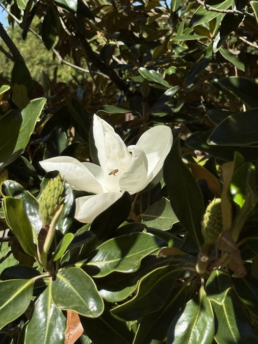 1/232 Harfleur Street, Deniliquin, NSW, 2710 - Image 25