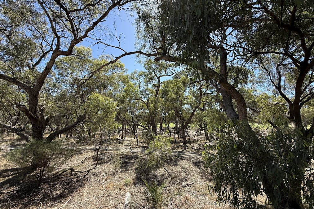 1/232 Harfleur Street, Deniliquin, NSW, 2710 - Image 24