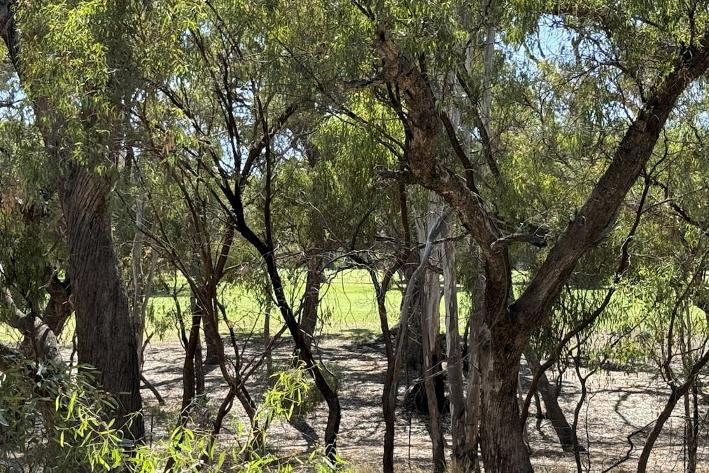 1/232 Harfleur Street, Deniliquin, NSW, 2710 - Image 7