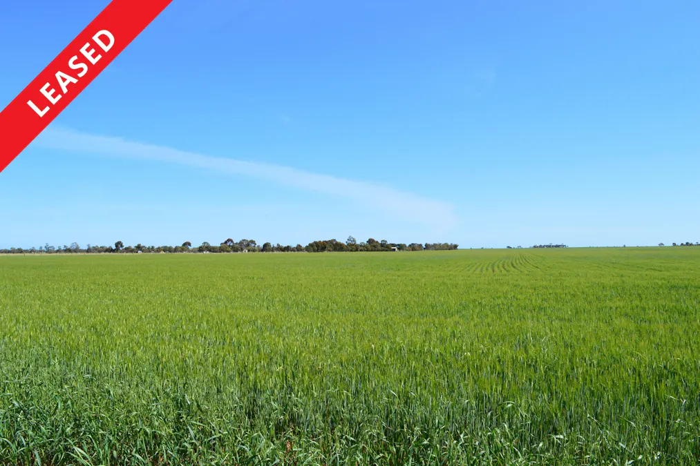 Lots 4, 5  Big Rabbit Road, Lower Light, SA, 5501 - Image 1