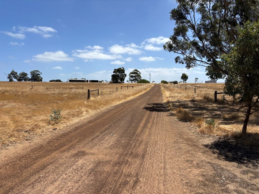 205 Settlers Road, Wangary, SA, 5607 - Image 3