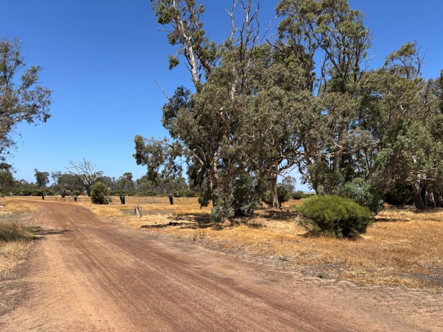 205 Settlers Road, Wangary, SA, 5607 - Image 10