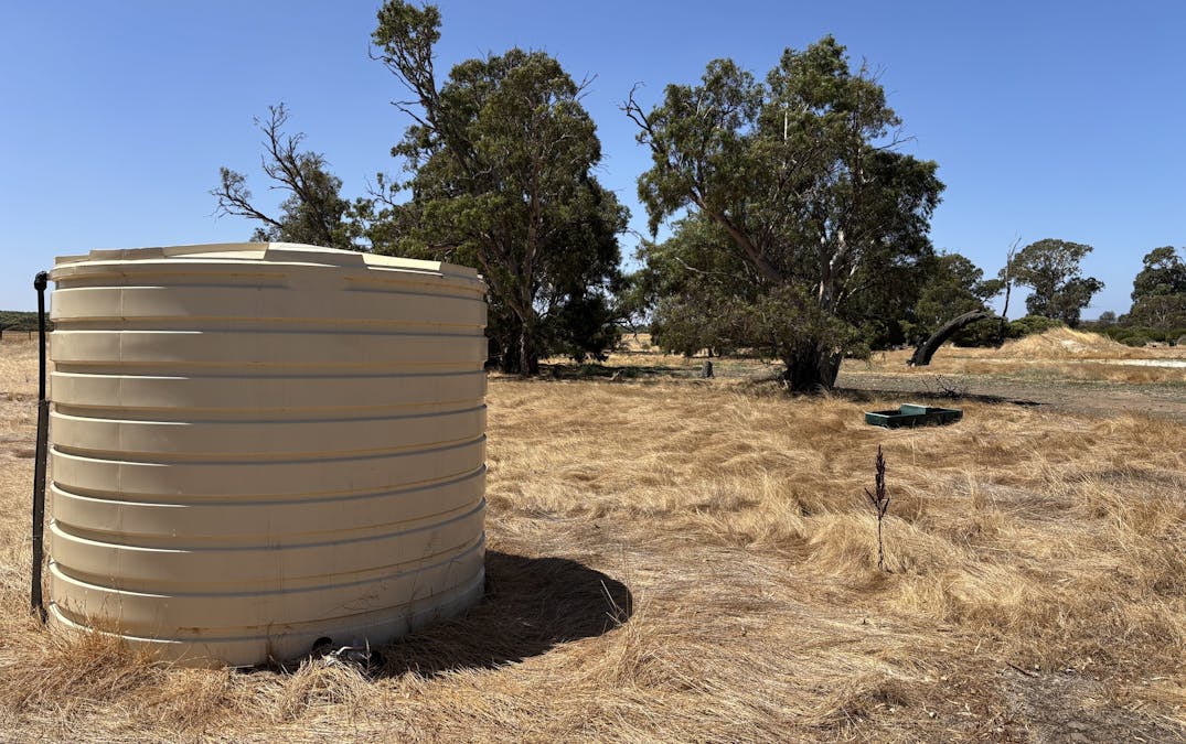 205 Settlers Road, Wangary, SA, 5607 - Image 5