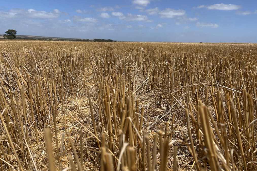 205 Settlers Road, Wangary, SA, 5607 - Image 8