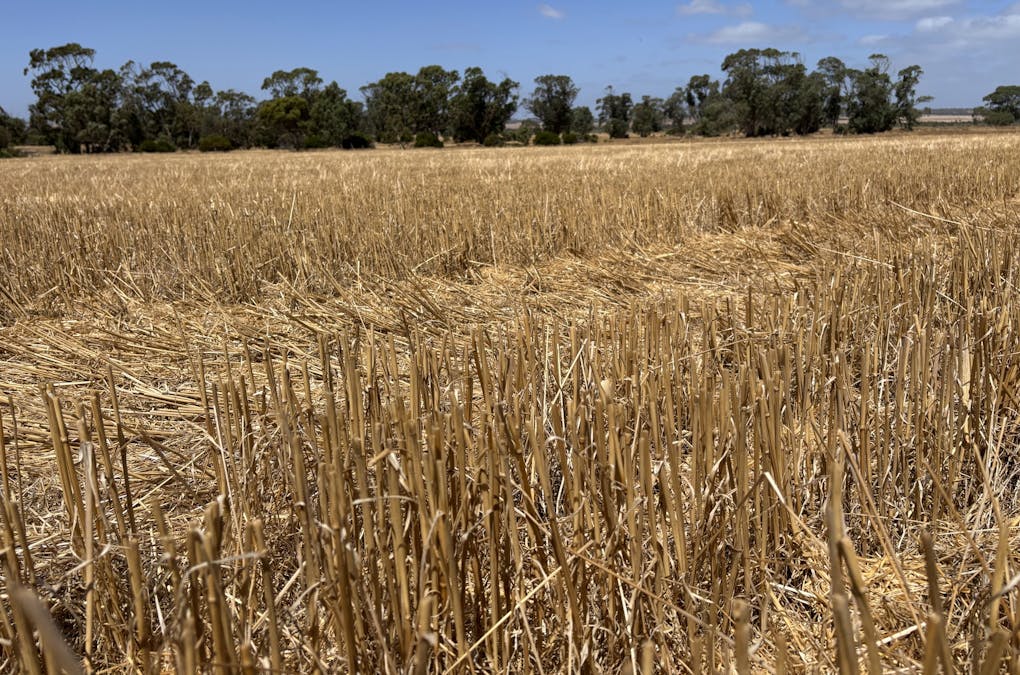 205 Settlers Road, Wangary, SA, 5607 - Image 12