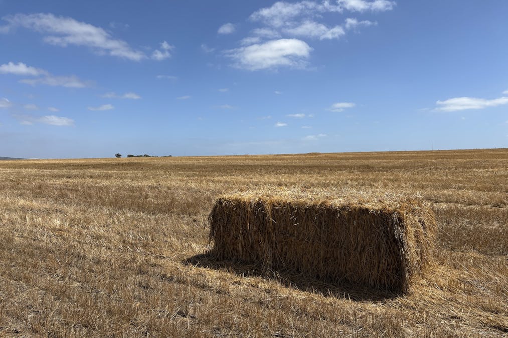 205 Settlers Road, Wangary, SA, 5607 - Image 9