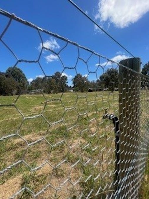 Henry Street, Glenthompson, VIC, 3293 - Image 18