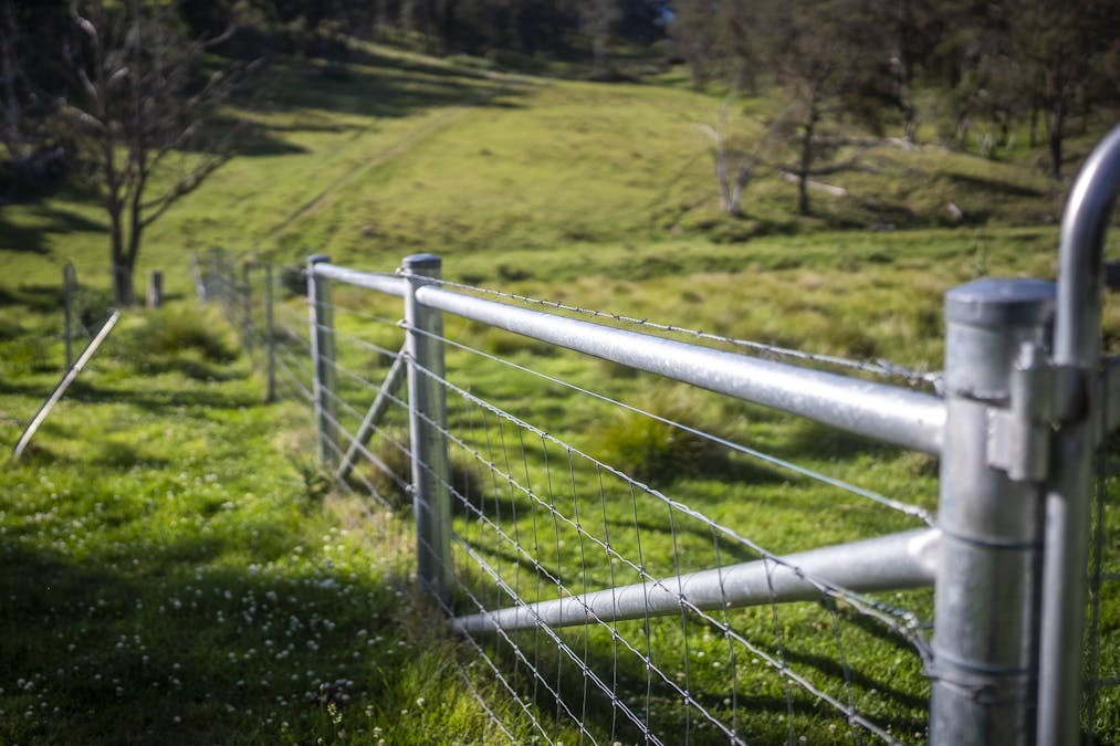 161 Hickeys Road, Wongwibinda, NSW, 2350 - Image 22