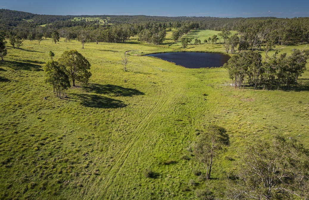 161 Hickeys Road, Wongwibinda, NSW, 2350 - Image 8