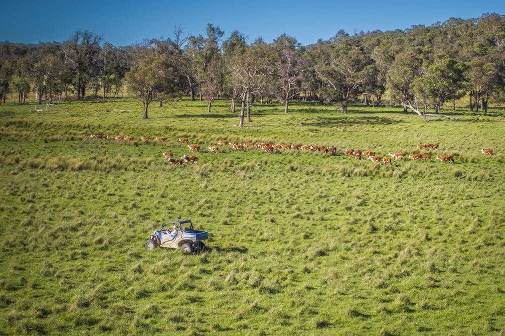 161 Hickeys Road, Wongwibinda, NSW, 2350 - Image 11