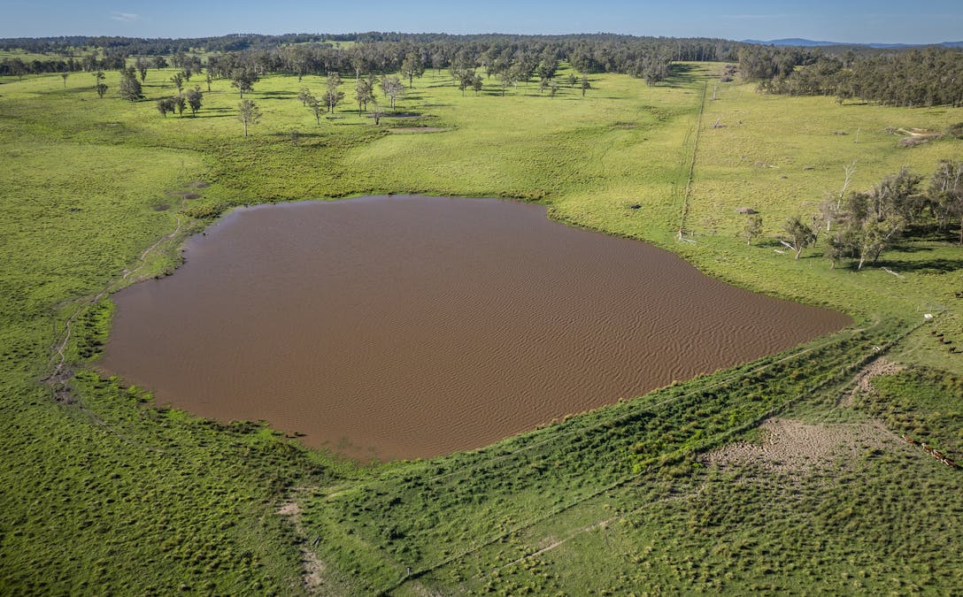 161 Hickeys Road, Wongwibinda, NSW, 2350 - Image 18