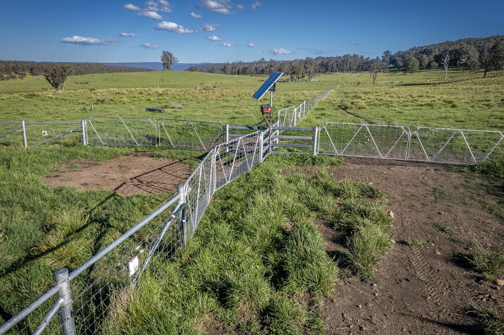 161 Hickeys Road, Wongwibinda, NSW, 2350 - Image 24