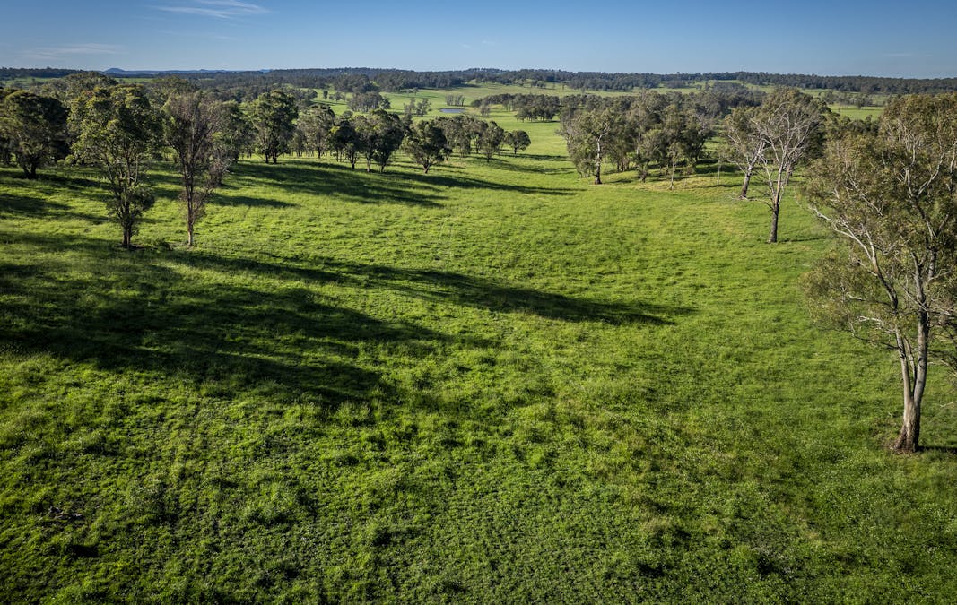 161 Hickeys Road, Wongwibinda, NSW, 2350 - Image 9