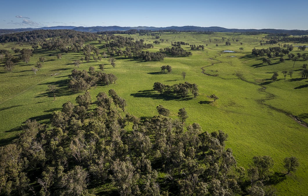 161 Hickeys Road, Wongwibinda, NSW, 2350 - Image 13