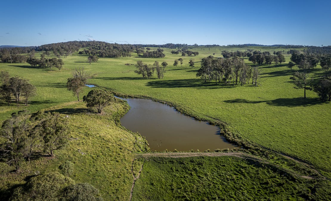 161 Hickeys Road, Wongwibinda, NSW, 2350 - Image 4