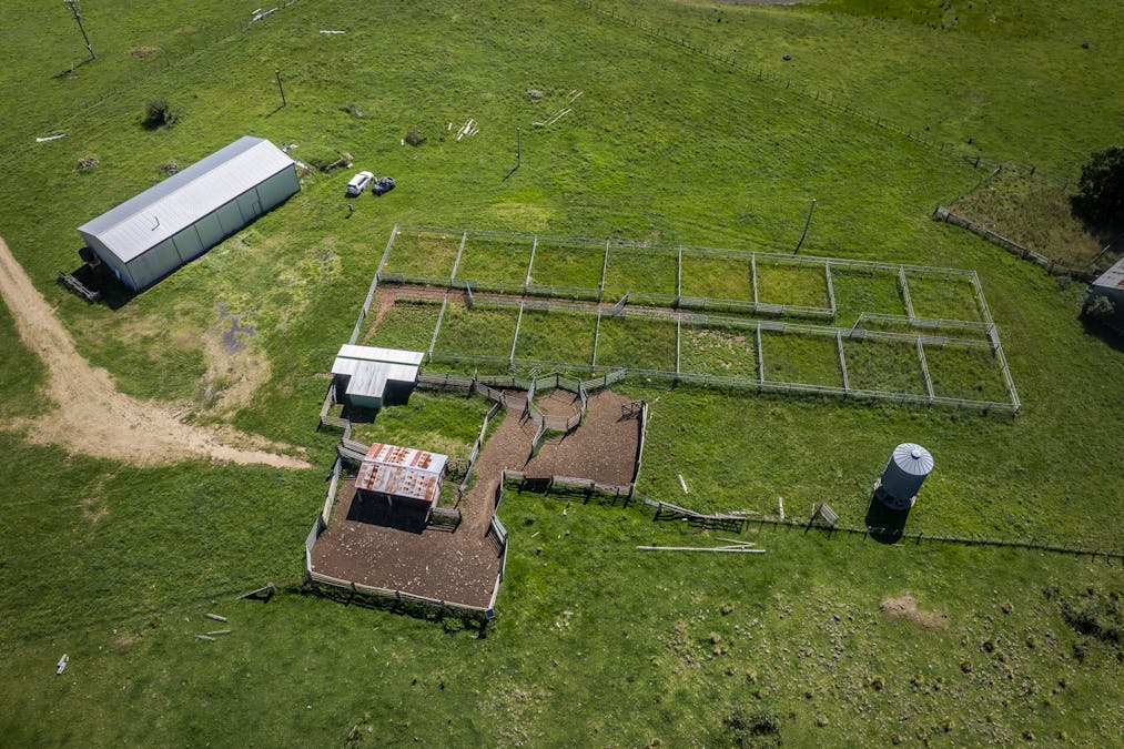 161 Hickeys Road, Wongwibinda, NSW, 2350 - Image 19