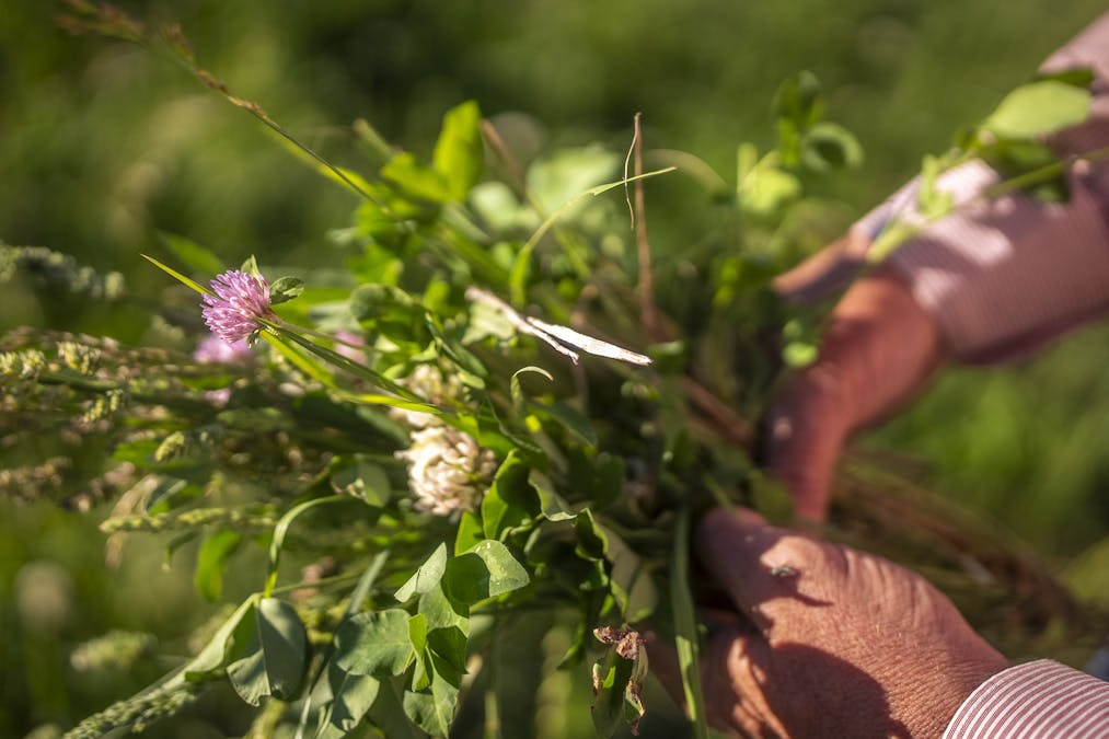 161 Hickeys Road, Wongwibinda, NSW, 2350 - Image 28