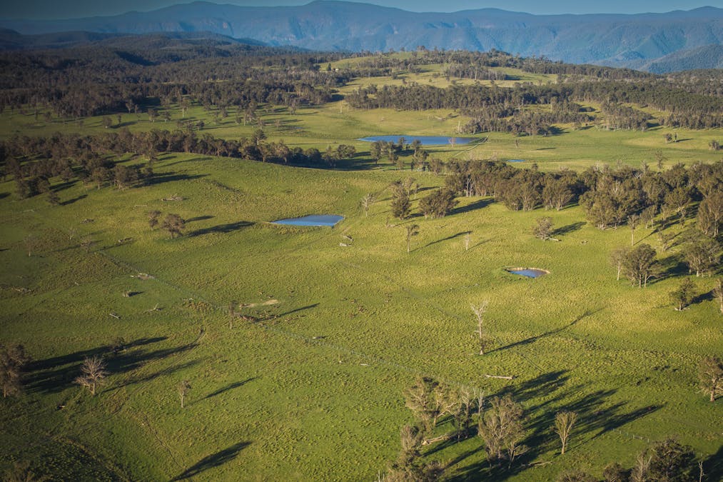 161 Hickeys Road, Wongwibinda, NSW, 2350 - Image 3