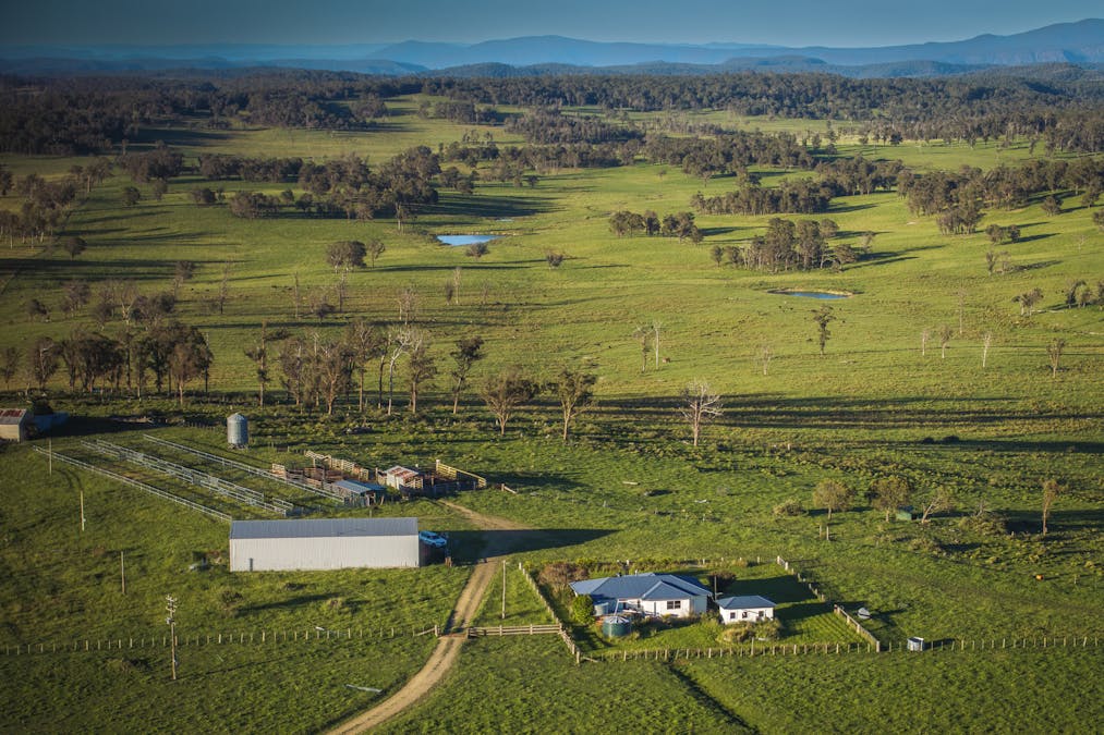 161 Hickeys Road, Wongwibinda, NSW, 2350 - Image 20