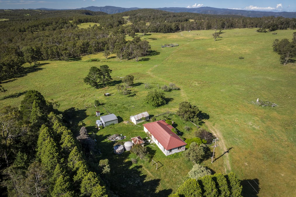 161 Hickeys Road, Wongwibinda, NSW, 2350 - Image 21