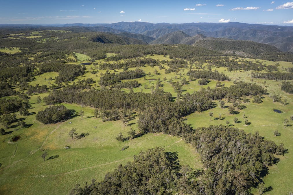 161 Hickeys Road, Wongwibinda, NSW, 2350 - Image 14