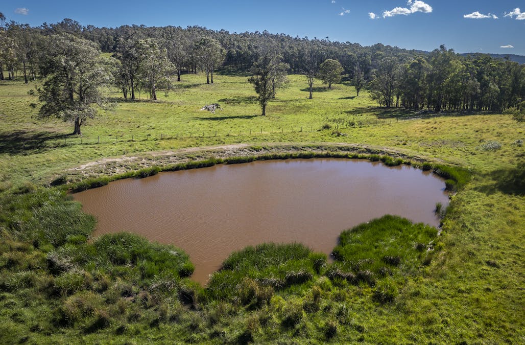 161 Hickeys Road, Wongwibinda, NSW, 2350 - Image 17