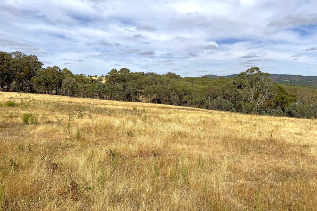 848 Kentucky Road, Neville, NSW, 2799 - Image 4