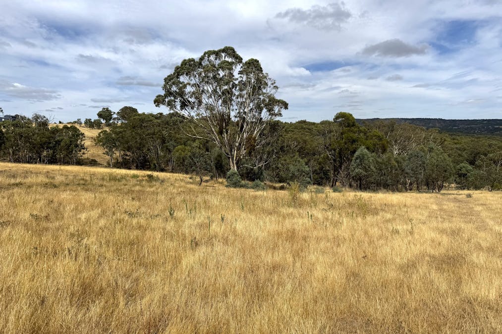 848 Kentucky Road, Neville, NSW, 2799 - Image 6