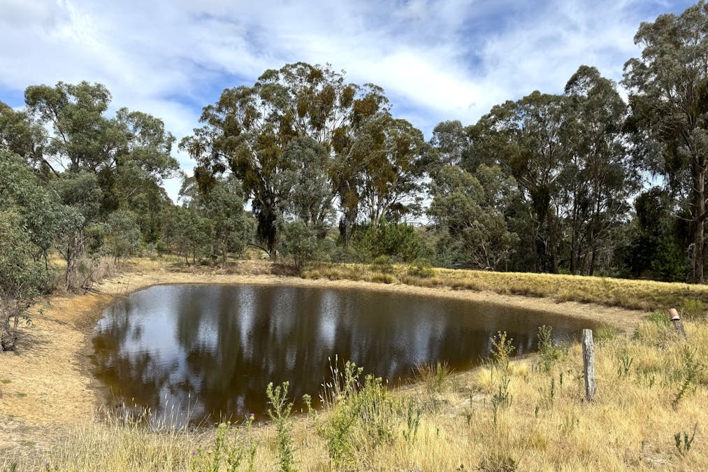 848 Kentucky Road, Neville, NSW, 2799 - Image 2