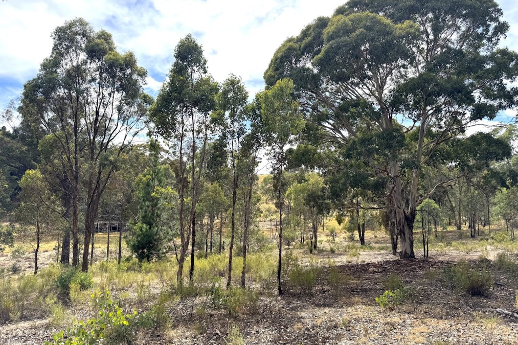 848 Kentucky Road, Neville, NSW, 2799 - Image 9