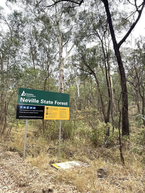 848 Kentucky Road, Neville, NSW, 2799 - Image 10