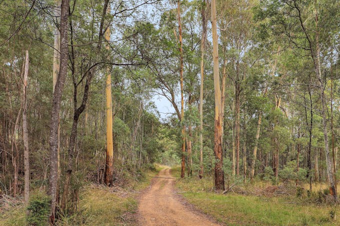 5062 Mansfield-Woods Point Road, Kevington, VIC, 3723 - Image 1