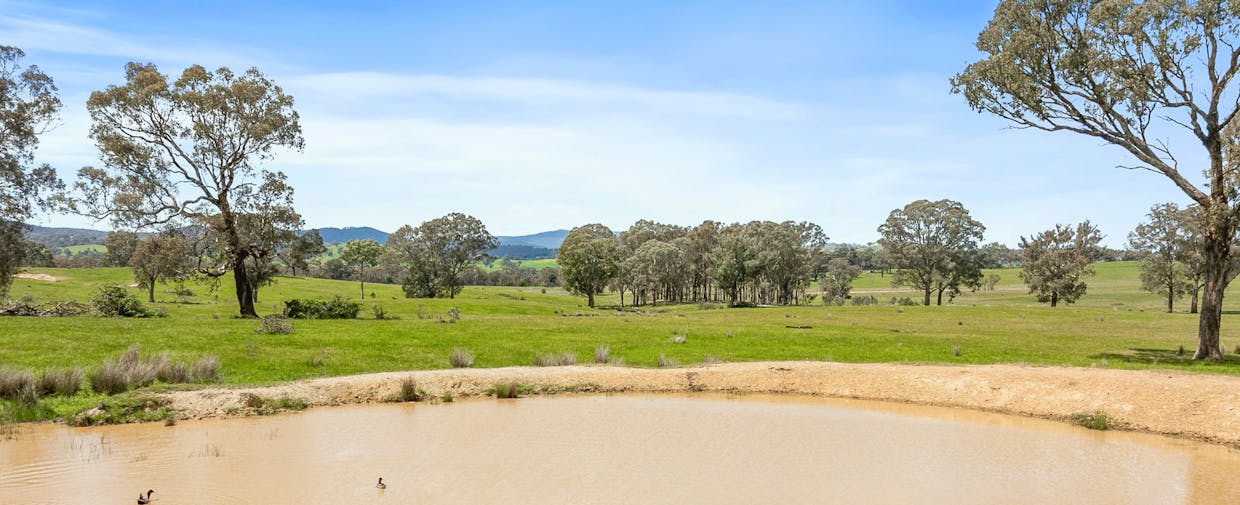 46 Lemins Road, Merton, VIC, 3715 - Image 5