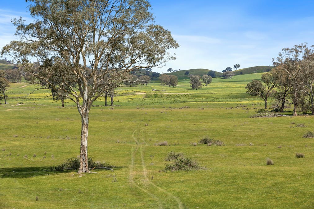 46 Lemins Road, Merton, VIC, 3715 - Image 7