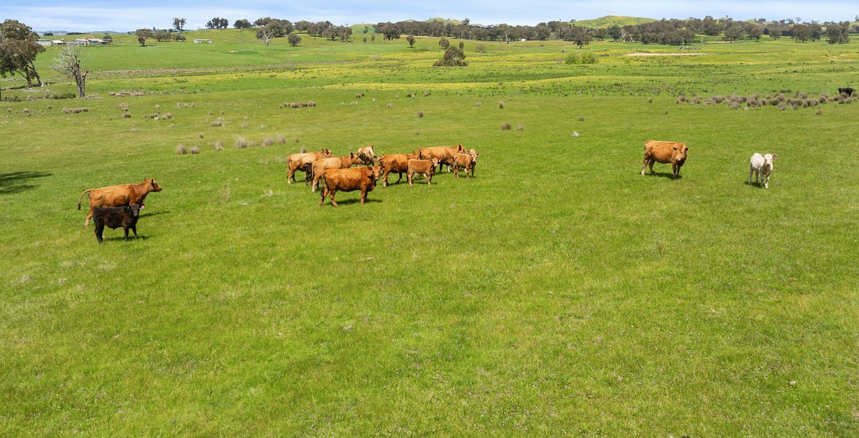 46 Lemins Road, Merton, VIC, 3715 - Image 4