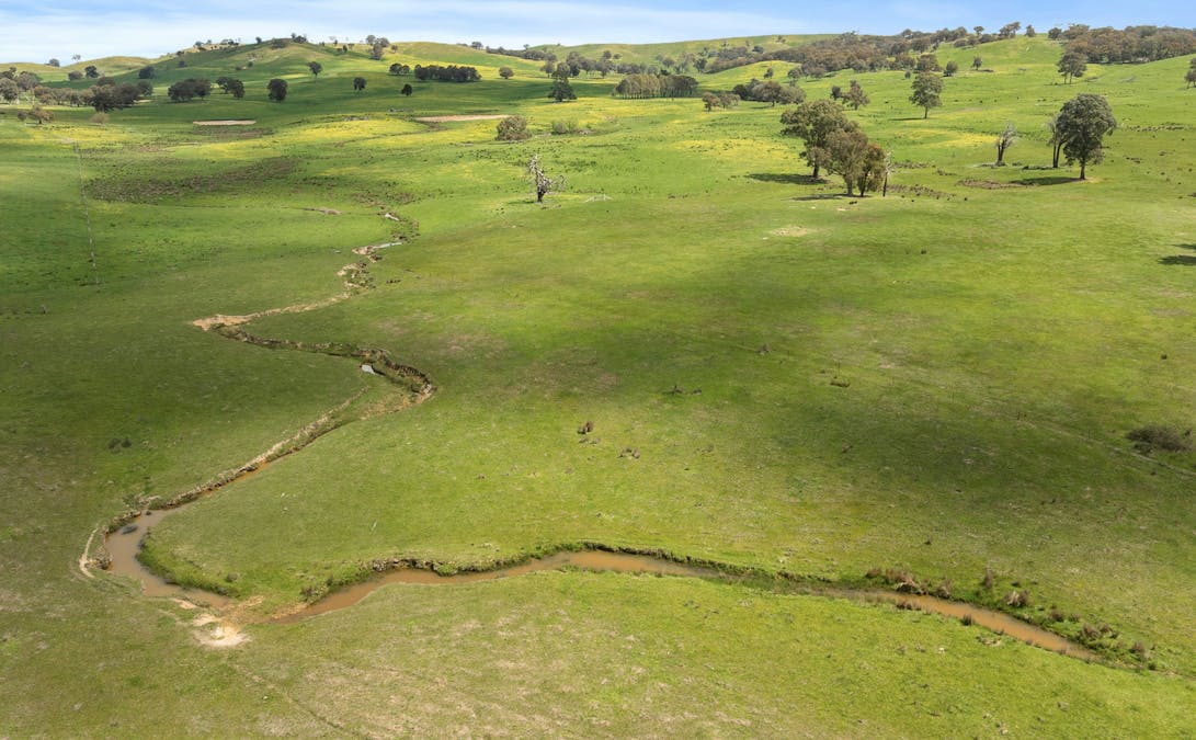 46 Lemins Road, Merton, VIC, 3715 - Image 14