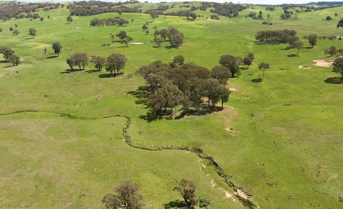 46 Lemins Road, Merton, VIC, 3715 - Image 17