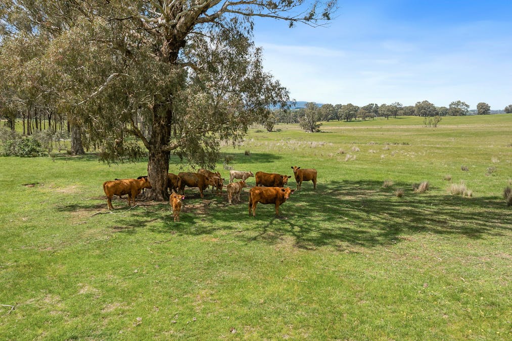 46 Lemins Road, Merton, VIC, 3715 - Image 1