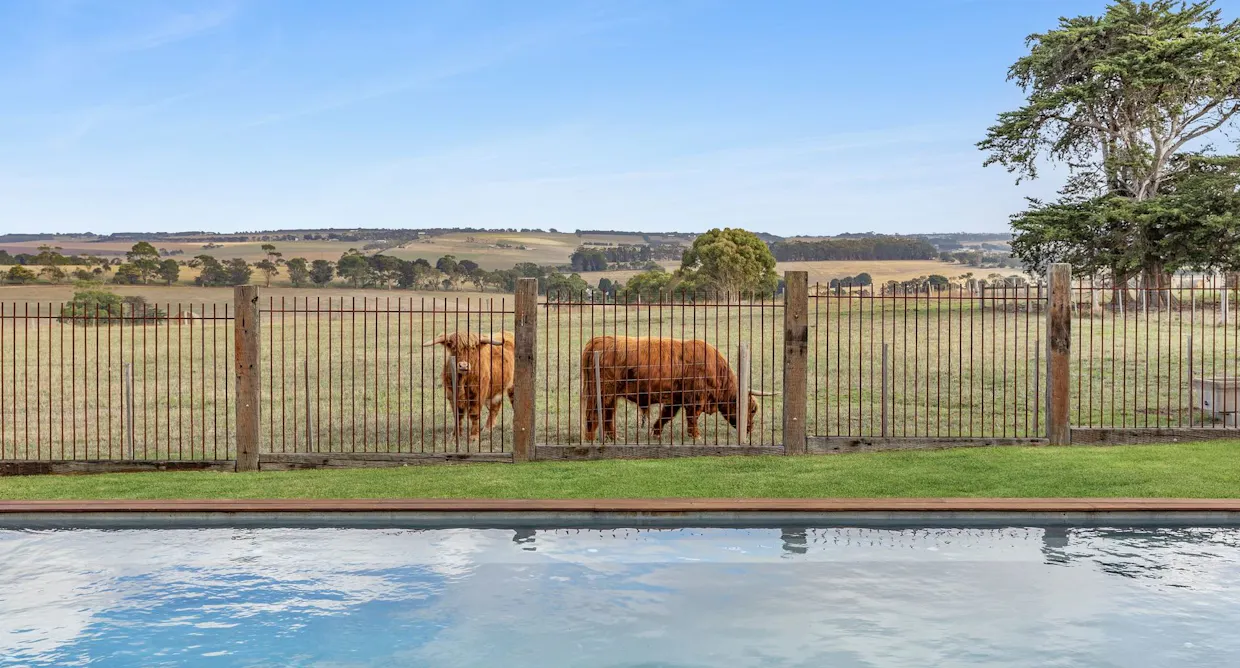 80 Devon Road, Barrabool, VIC, 3221 - Image 22