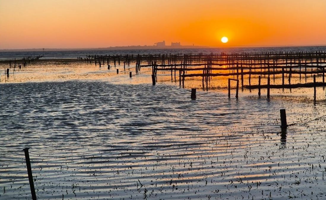 49A Thiselton Way, Denial Bay, SA, 5690 - Image 1